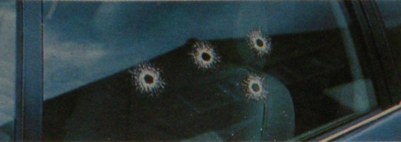 Bullet Holes Decal